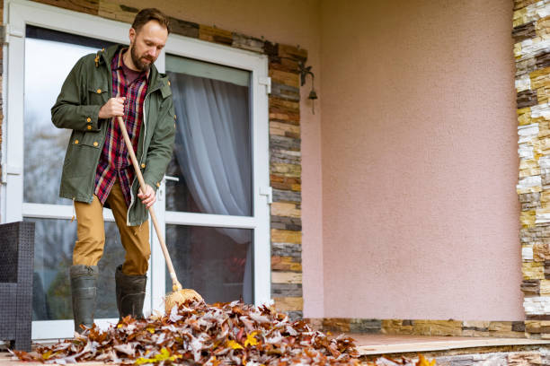 Debris Removal in Pine Grove Mills, PA